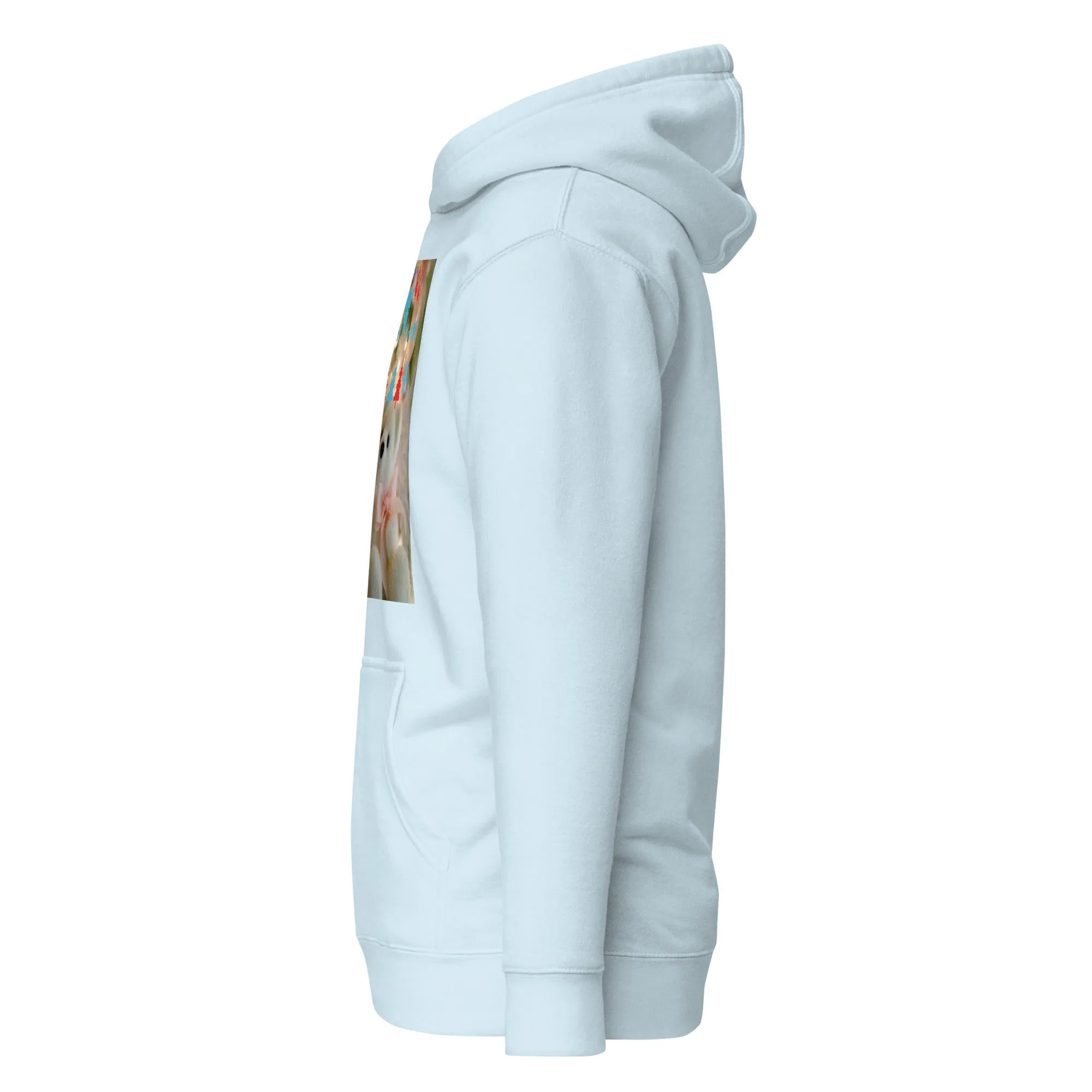 Christmas Hoodie (Glamourange Christmas Gifts - Hoodies for Christmas 0074)
