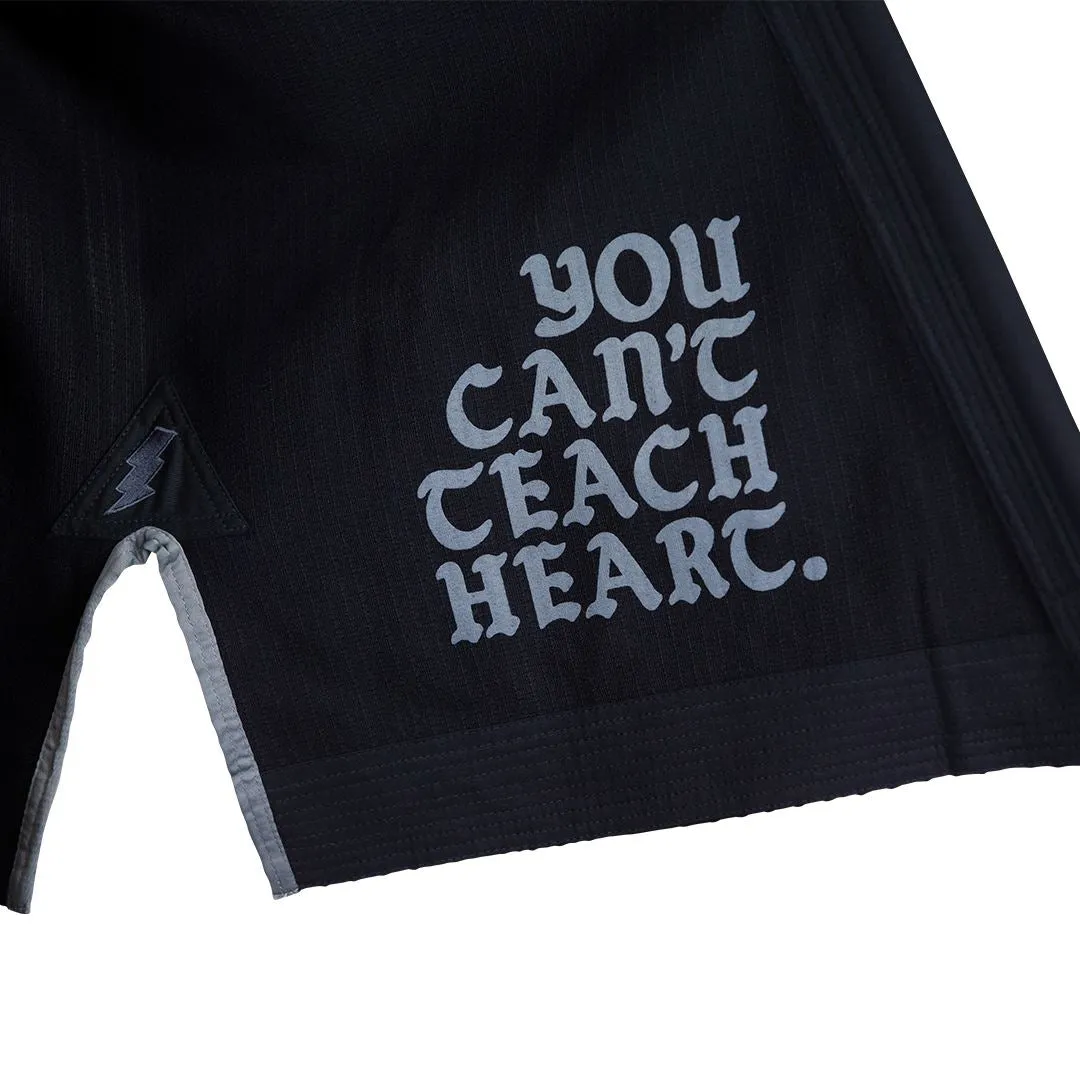 The MasterFly Gi