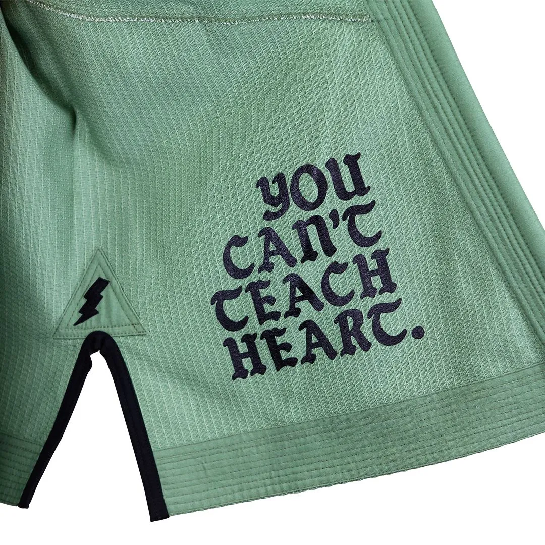 The MasterFly Gi